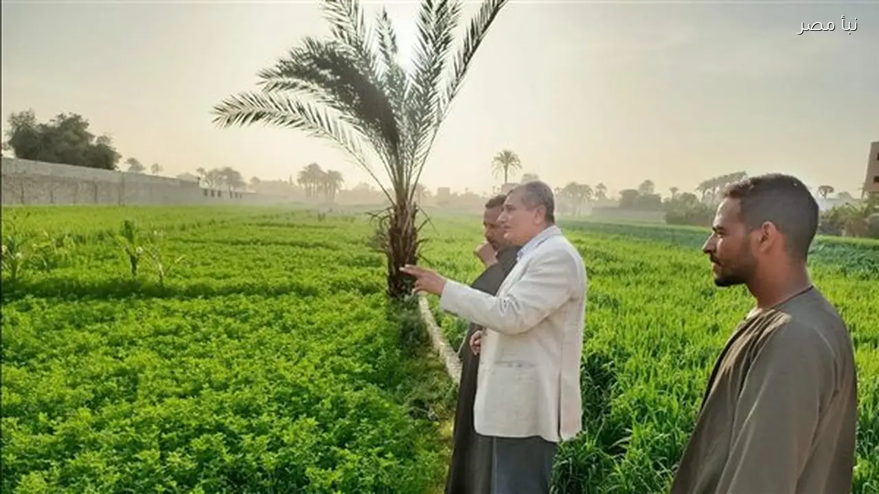 محافظ أسيوط يؤكد أهمية تكثيف المتابعة الميدانية للزراعات في القرى والنجوع