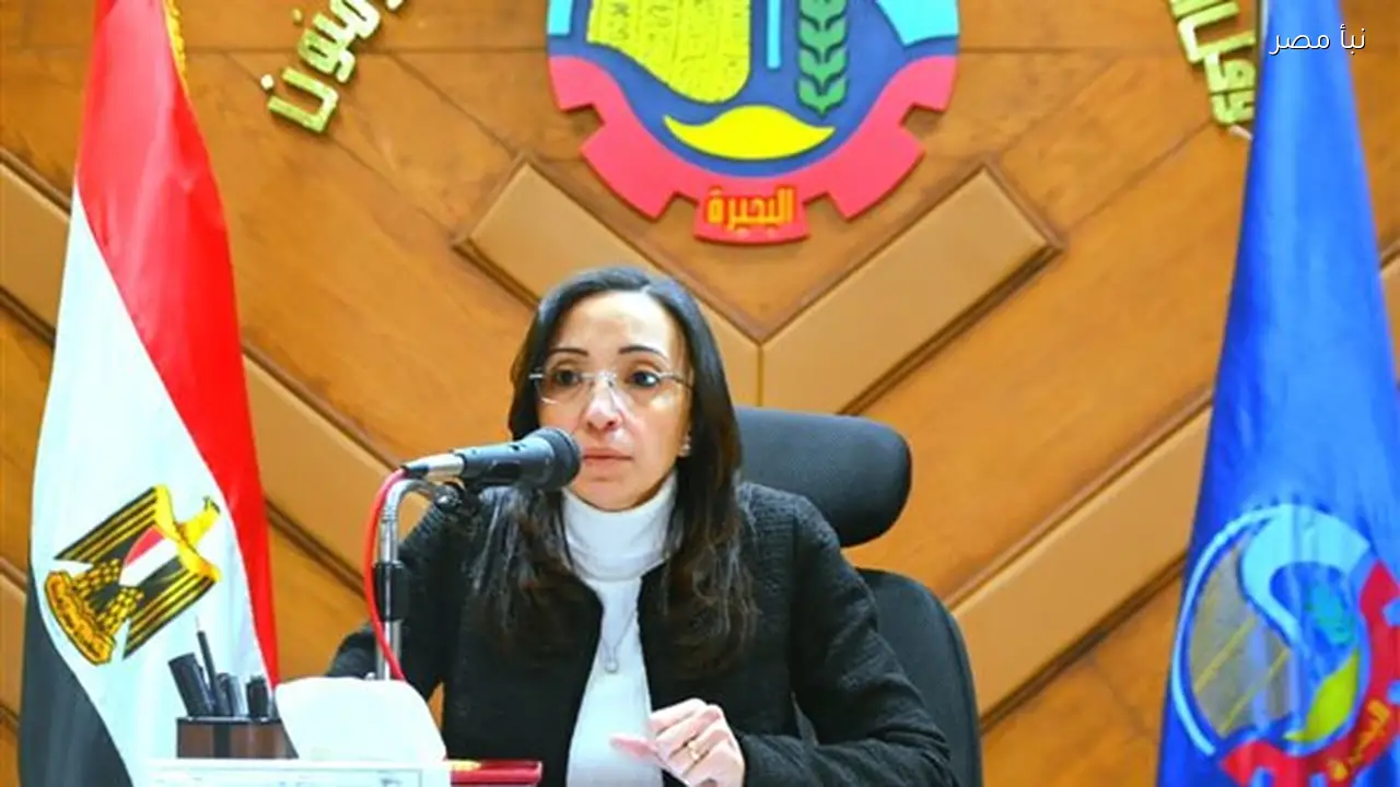 محافظ البحيرة يوجه بزيادة الجهود لتحسين كفاءة المشروعات الخدمية والإنتاجية