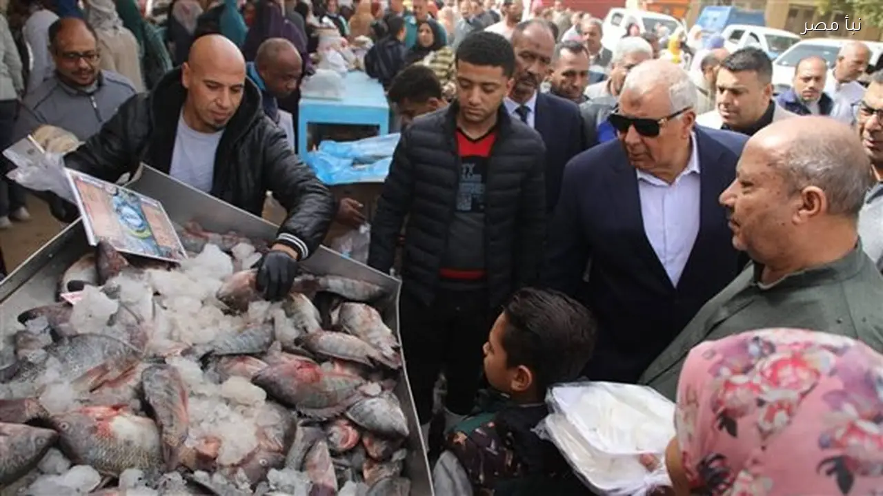 محافظ الوادي الجديد يزور مبادرة معًا ضد الغلاء ويؤكد أهمية توسيع منافذ السلع المخفضة قبل رمضان