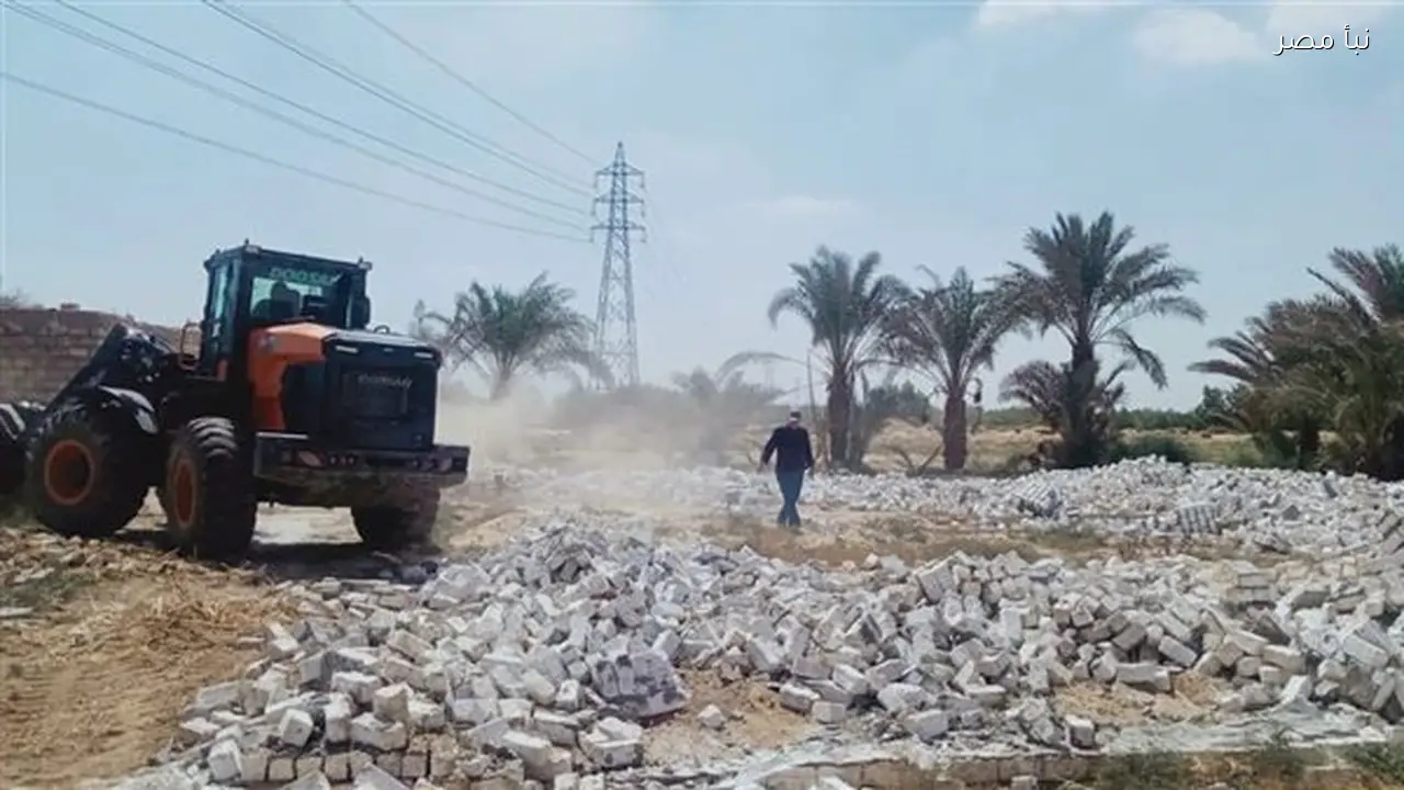 محافظ بني سويف يعلن إزالة 116 حالة تعدٍ خلال المرحلة الثانية من الموجة الثامنة والعشرين لاسترداد أراضي الدولة