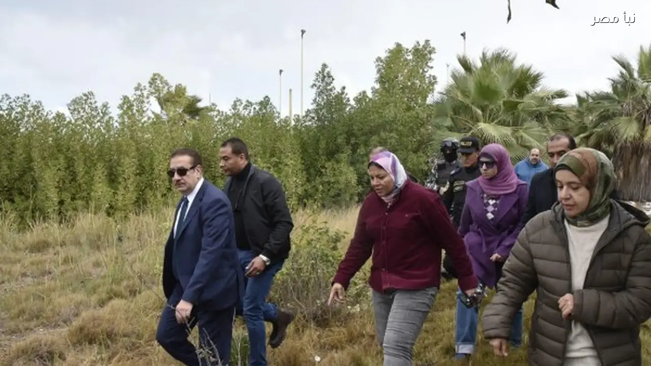 محافظ بورسعيد يوجه بإعداد مخطط لتطوير المنطقة المحيطة بمكتبة مصر العامة