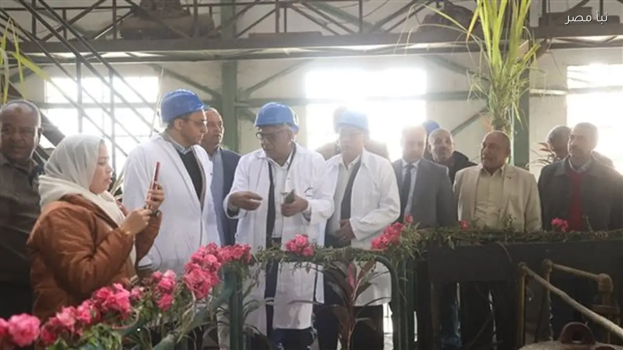 محافظ قنا يطلق موسم حصاد قصب السكر في مصنع سكر دشنا