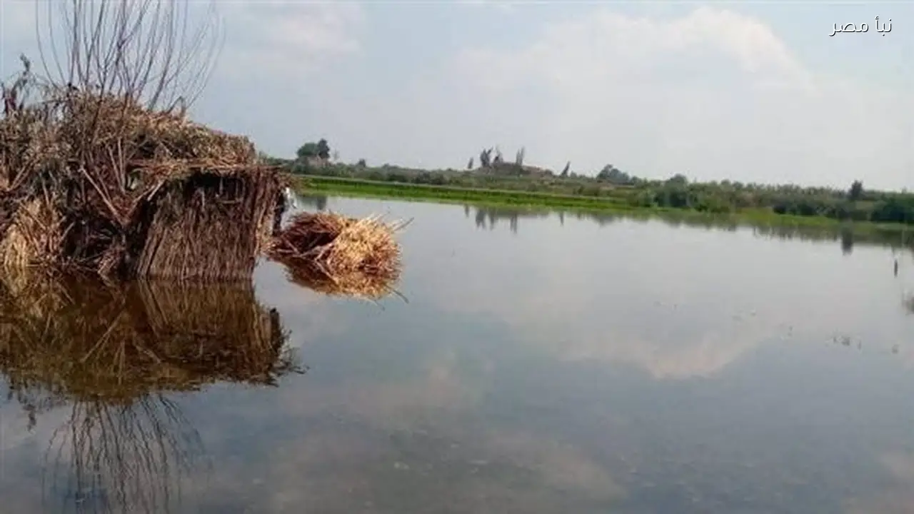 محافظة المنوفية تحذر من ارتفاع مناسيب المياه وتطالب بإزالة التعديات على أراضي طرح النهر