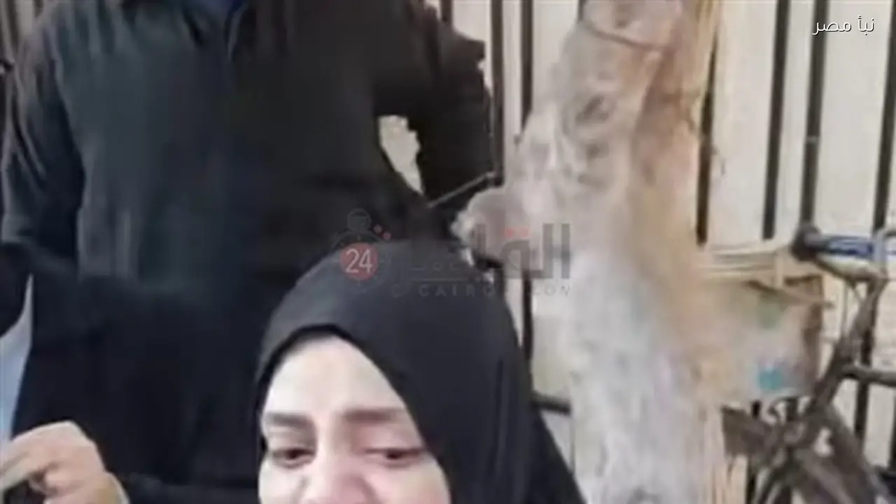 محامي أسرة كريمة عروس المنوفية يصل المحكمة لحضور جلسة محاكمة زوجها المتهم بقتلها