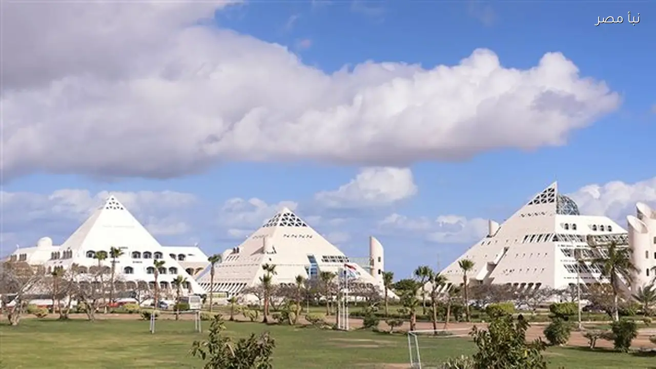 مدينة الأبحاث العلمية والتطبيقات التكنولوجية تعقد ورشة عمل لتعزيز الابتكار وربط البحث العلمي بالصناعة