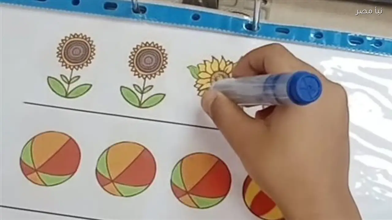 مراكز رعاية وتأهيل حالات الشلل الدماغي تقدم خدماتها لنحو خمسة آلاف طفل سنويا بحسب التضامن