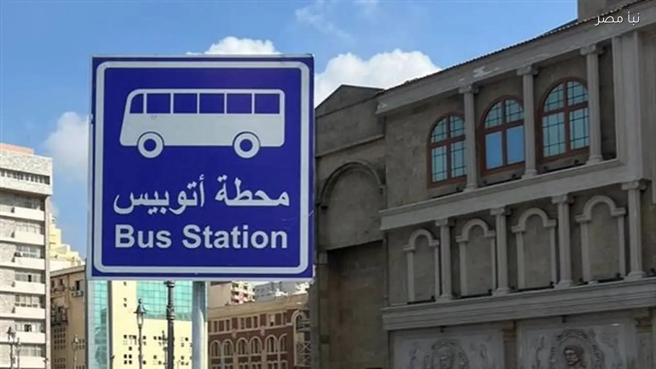 مرور الإسكندرية يضبط 139 مخالفة لوسائل النقل البديلة لترام الرمل بعد أربعة أيام من إيقافها