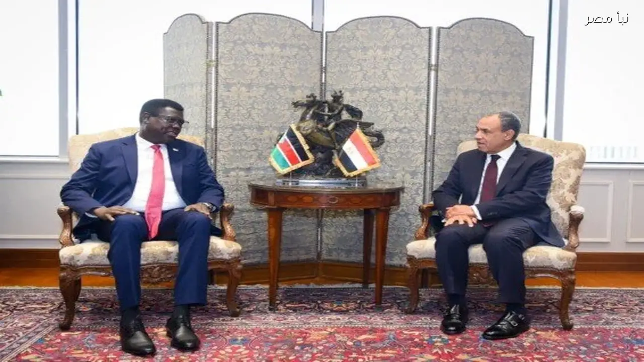 مصر تؤكد دعمها الكامل لجهود تحقيق الأمن والاستقرار في جنوب السودان