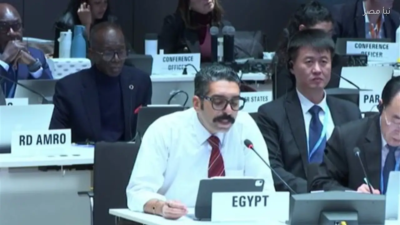 مصر تحقق انتصارا دبلوماسيا في الصحة العالمية وتفشل محاولات تحميلها مسؤولية تأخير إجلاء مصابي غزة