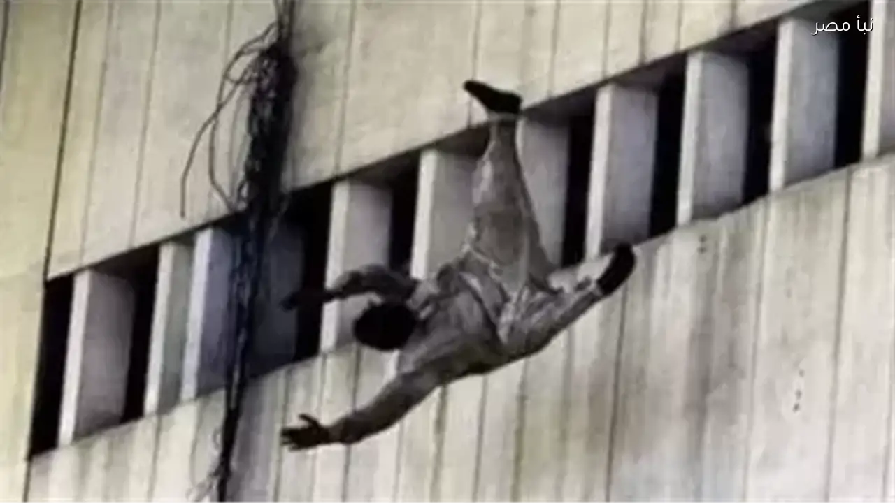 مصرع أم وطفلها من الطابق الثامن في الإسكندرية بعد معاناة طويلة من التربية