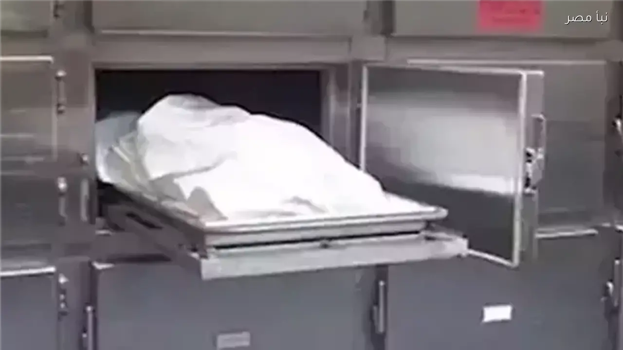 مصرع رجل نتيجة تصادم على طريق الحواويش القبلية في أخميم