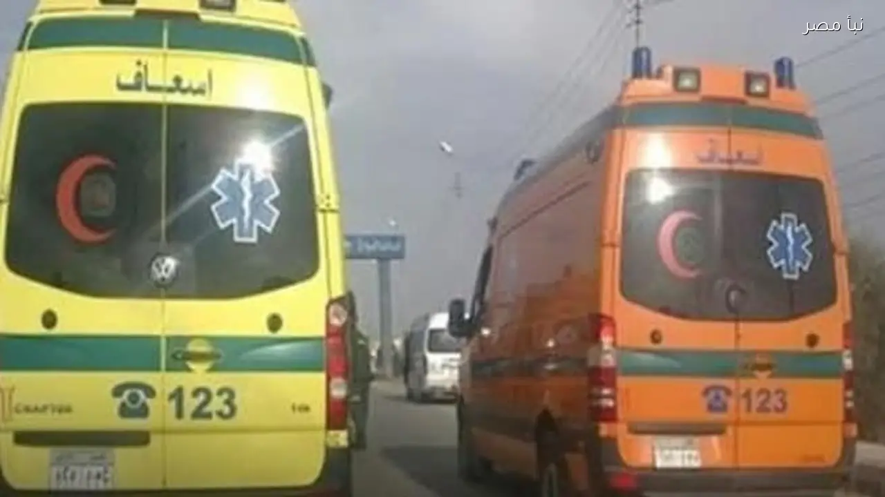 مصرع شخصين وإصابة ثمانية آخرين في تصادم سيارتين بمحافظة مطروح