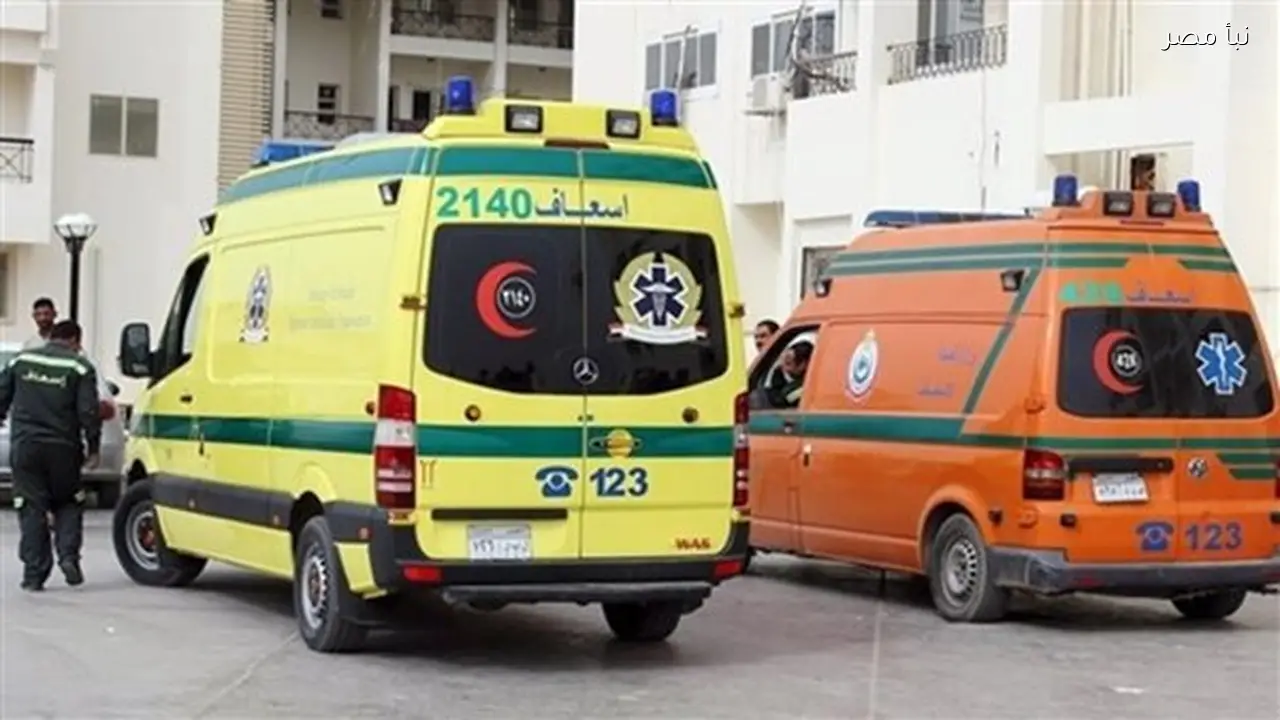 مصرع عامل في حادث تصادم بطريق الواحات بالصحراء الغربية في سمالوط