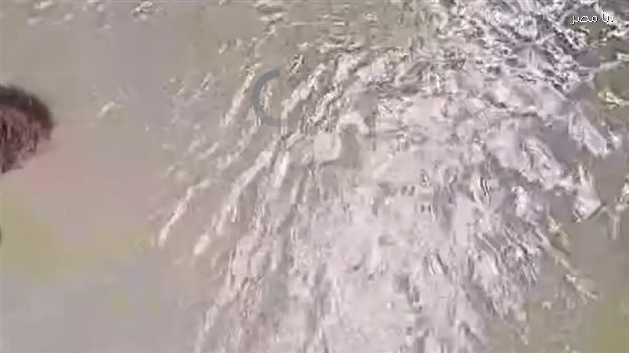 مصرع مزارع غرقًا في مروى أرض زراعية بكفر الشيخ إثر نوبة تشنجات