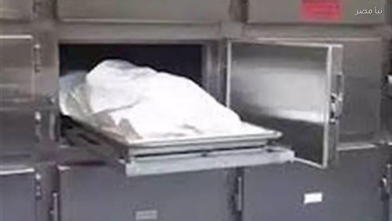 مقتل ربة منزل على يد شقيقها في المنيا بسبب محاولته تأديبها