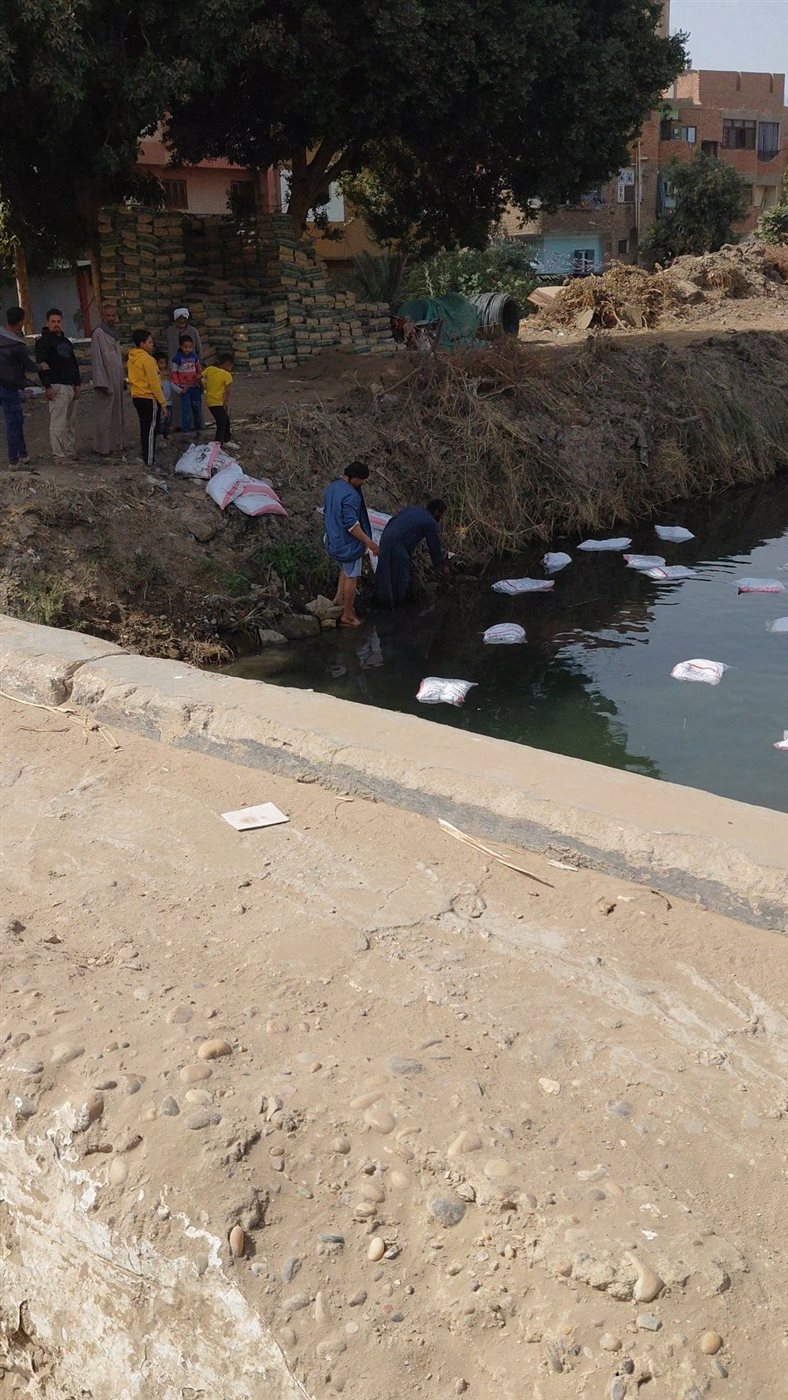 انقلاب مقطورة محملة بكميات كبيرة من الدقيق في الترعة