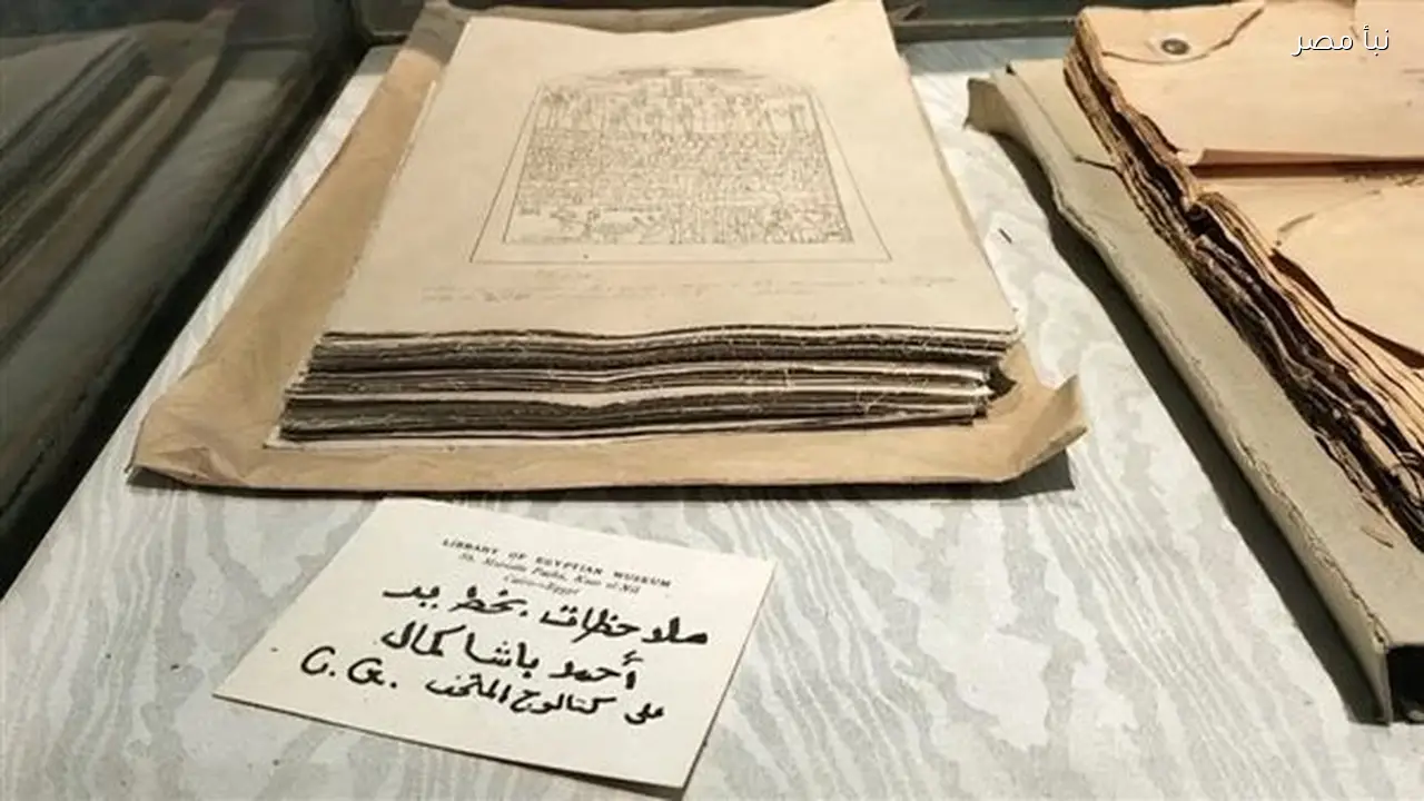 مكتبة المتحف المصري تسلط الضوء على تاريخ علم المصريات وتجسد قصته من عمق الحضارة