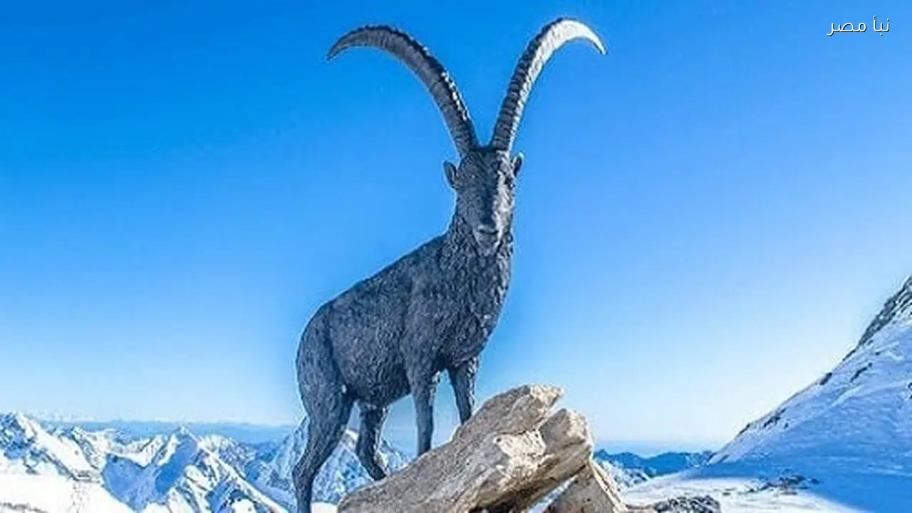 مميزات وعيوب برج الجدي وأثرها على شخصية الأفراد في مختلف جوانب الحياة