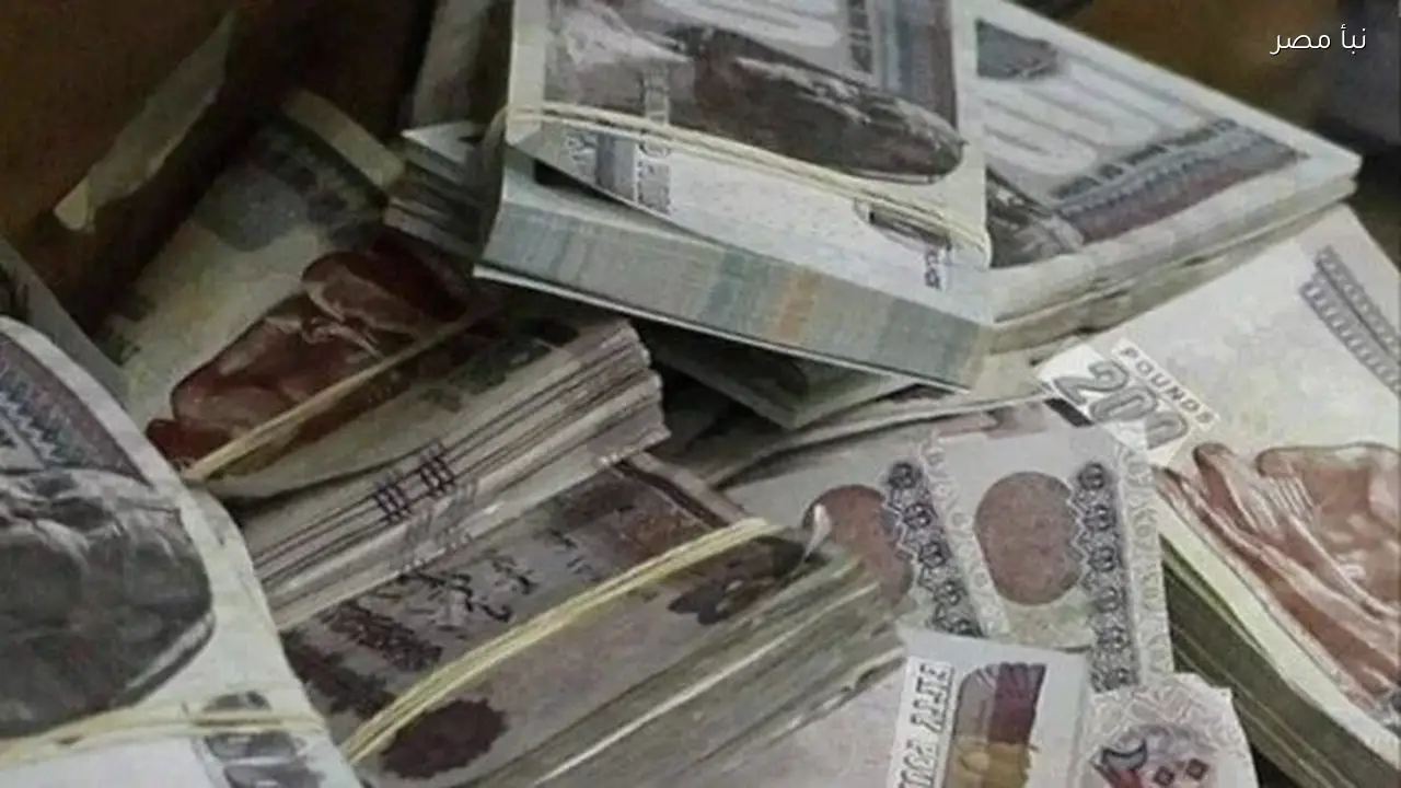 موعد صرف معاشات شهر مارس 2026 بعد مراجعة التأمينات الاجتماعية لضمان دقة الصرف