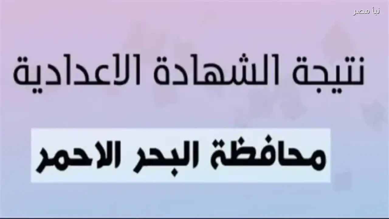 نتيجة الصف الثالث الإعدادي في البحر الأحمر متاحة الآن برقم جلوسك اعرف درجاتك بسهولة