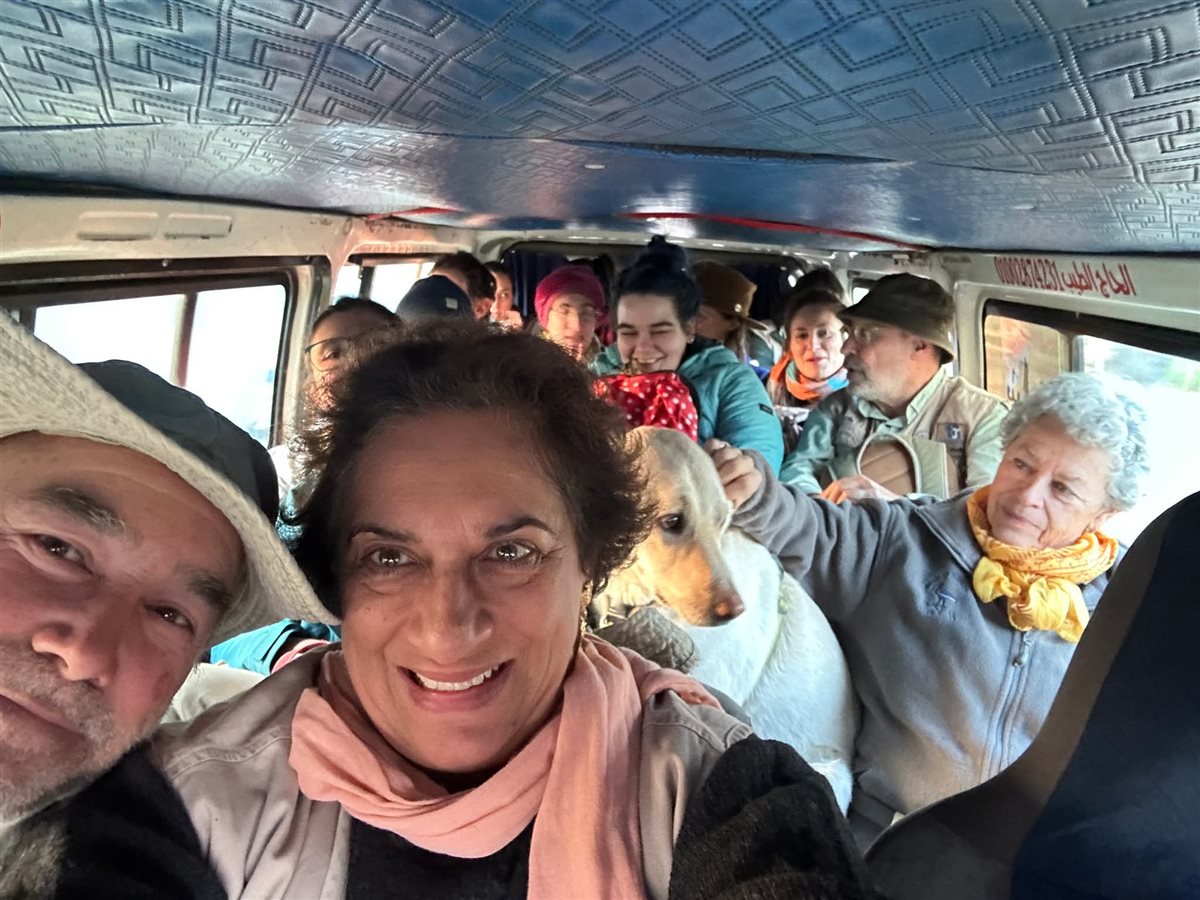 فريق البعثة الأثرية