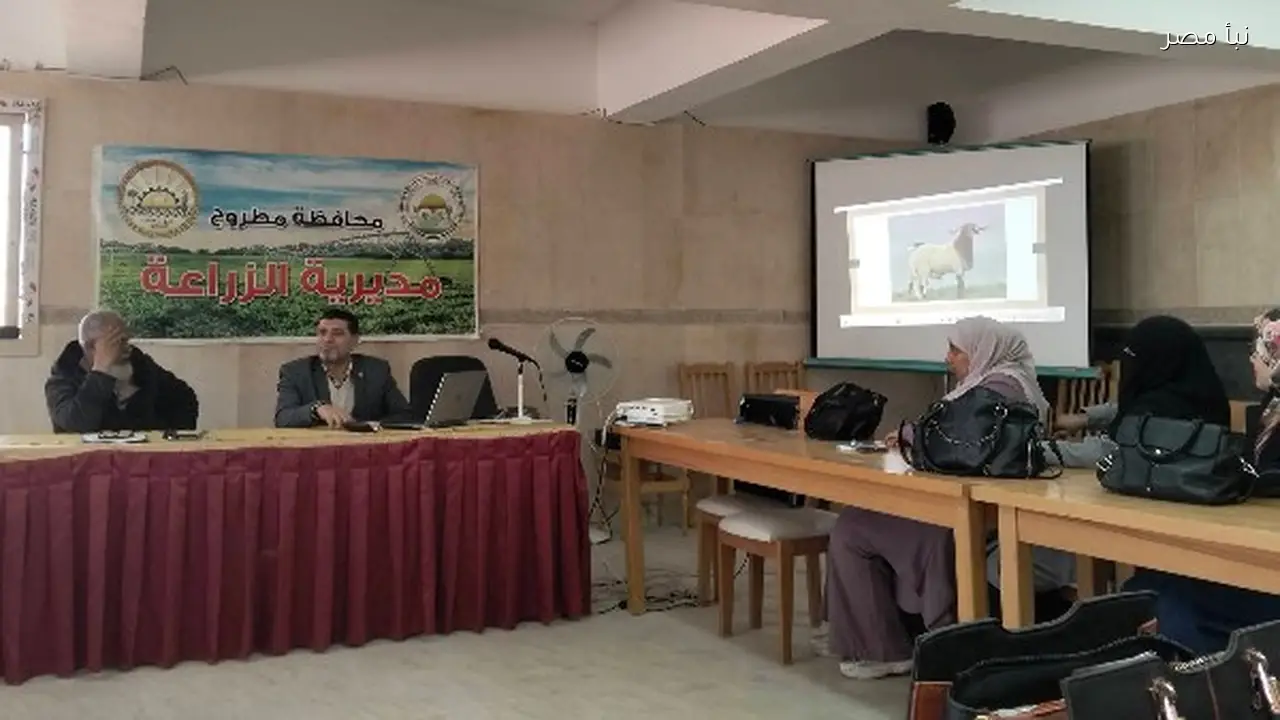 ندوة بقطاع الزراعة في مطروح تناقش صفات الصوف وطرق تجهيزه للصناعة