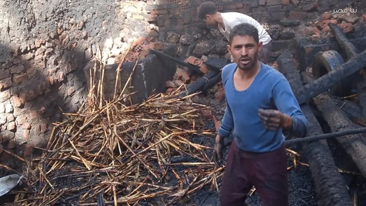 نفوق ثلاثة مواشٍ في حريق بحوشين بمحافظة سوهاج