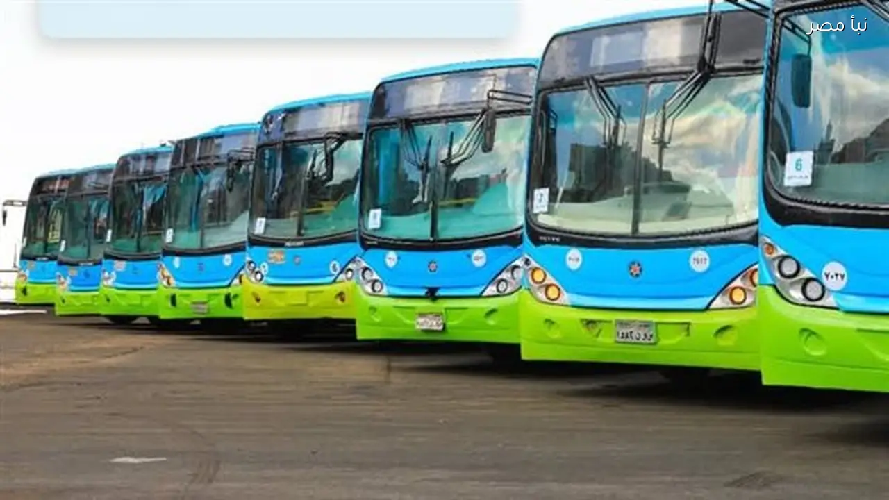 هيئة النقل بالإسكندرية تكشف عن خطة تشغيل الترام والأتوبيس خلال رمضان مع إضافة خدمة سهر وزيادة عدد العربات