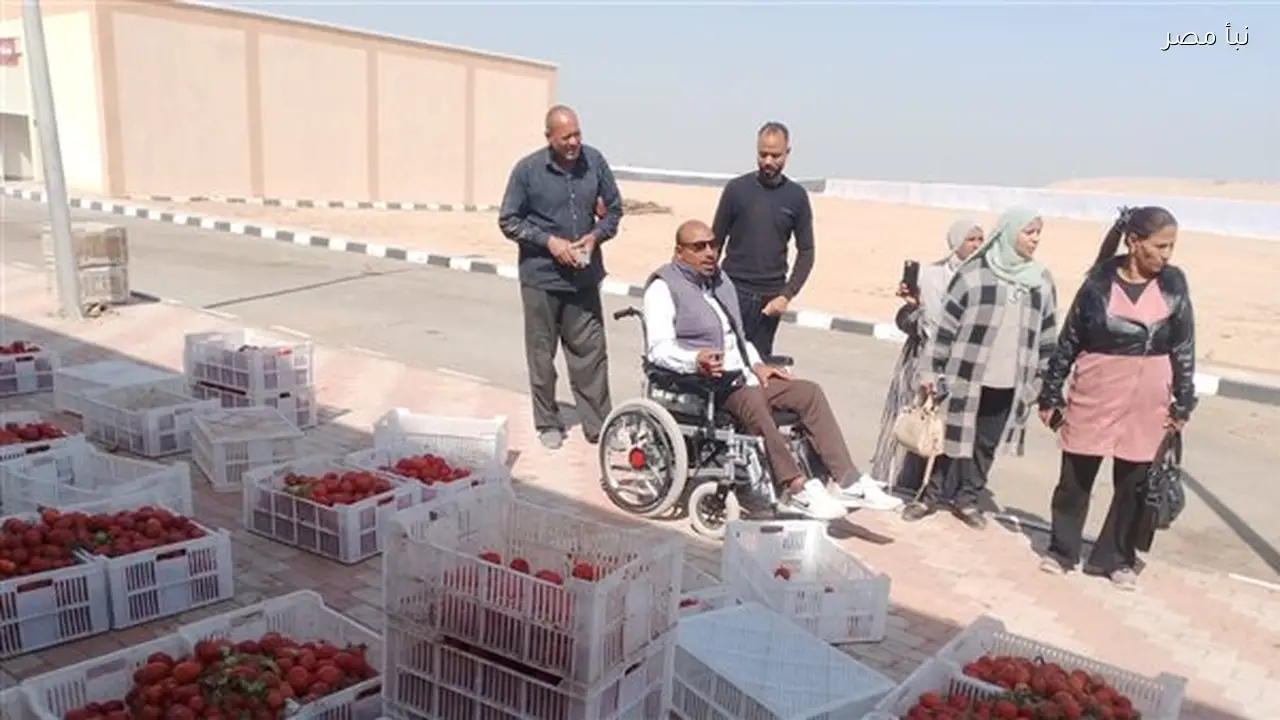 وحدة السكان الفرعية بإسنا تعقد ورشة عمل لتعليم تجفيف الطماطم بمجمع الصناعات