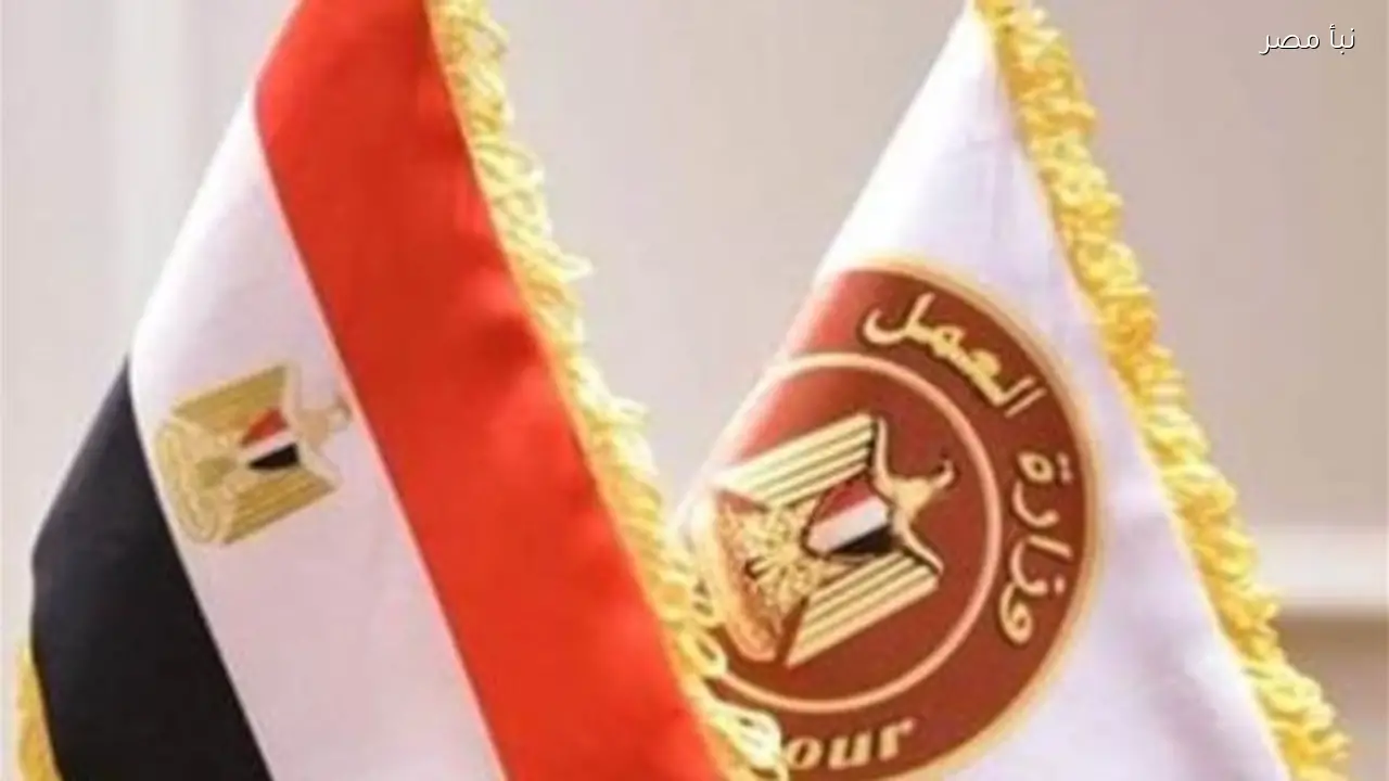 وزارة العمل تعلن عن 400 فرصة عمل برواتب مجزية في مدينتي نصر وبدر