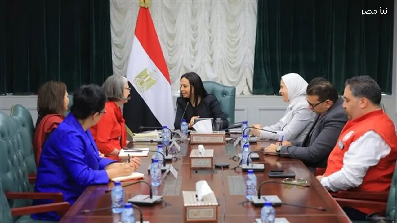 وزيرة التضامن تعلن إدخال نحو 800 ألف طن من المساعدات إلى غزة بالتعاون مع جمعيات الصليب الأحمر والهلال الأحمر