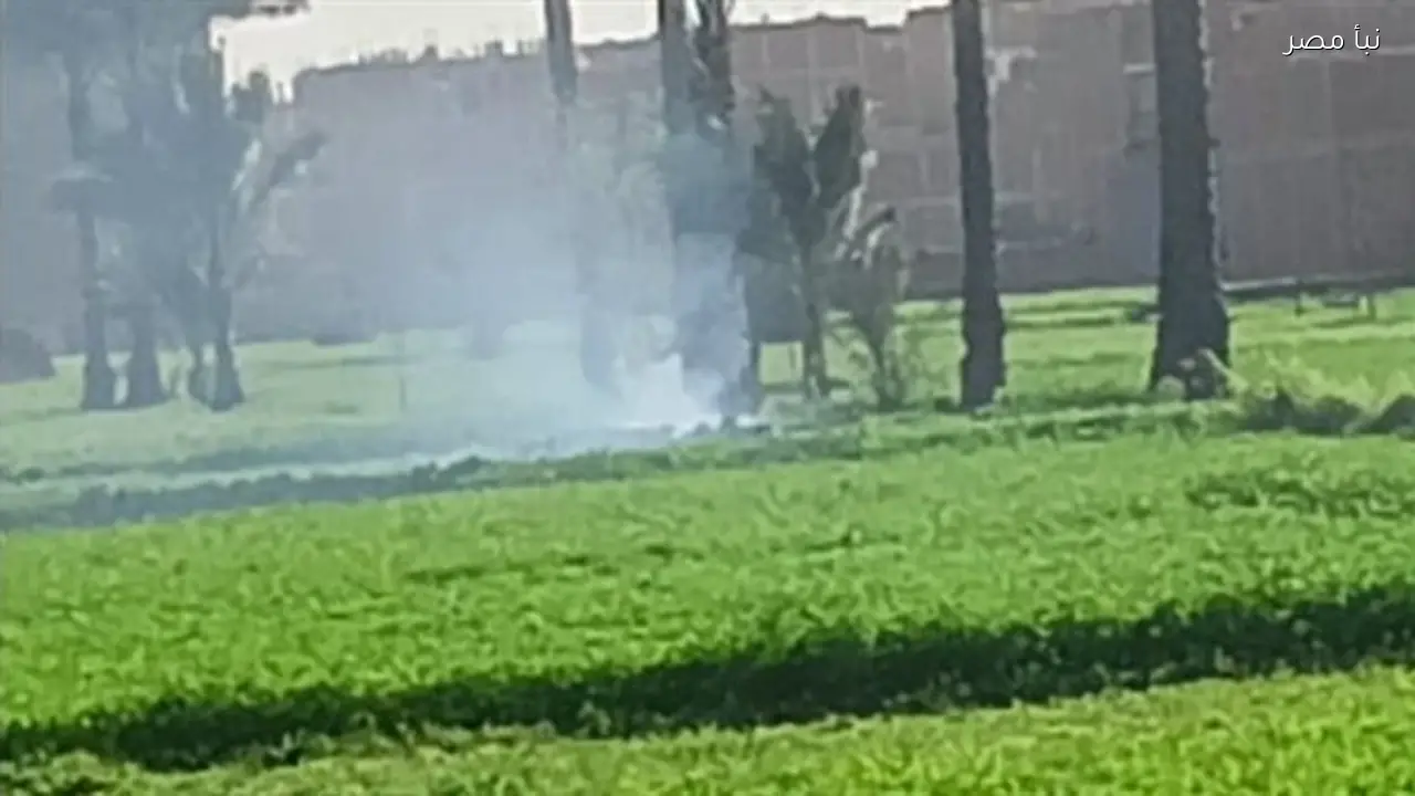 وزيرة التنمية المحلية والبيئة تأمر باتخاذ الإجراءات القانونية ضد حرق مكشوف في الشرقية