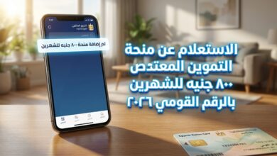 800ج للشهرين البطاقة التموينية وكيفية الاستعلام عن منحة التموين للمواطنين 2026