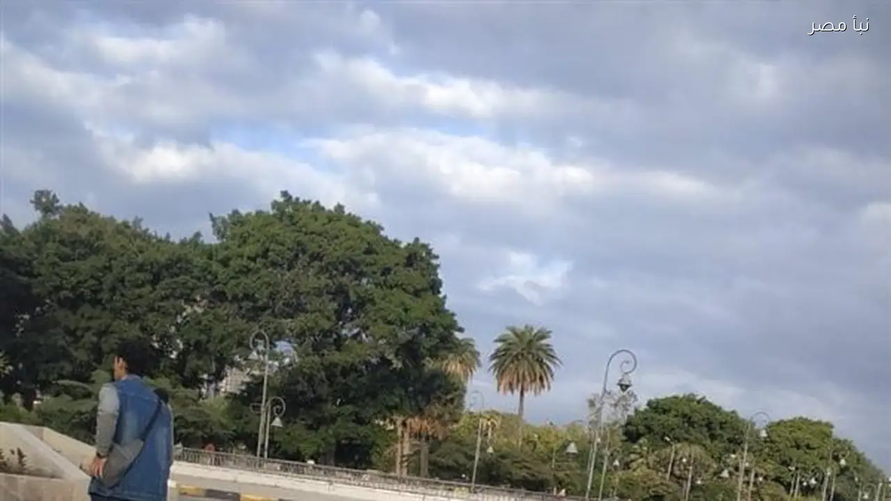 أجواء باردة ورياح قوية مع استمرار فرص هطول الأمطار في الإسكندرية