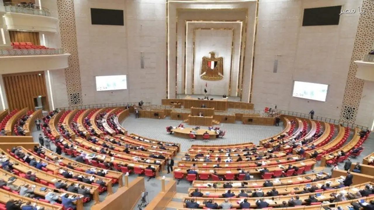 أحمد إيهاب يتولى رئاسة المجلس القومي لحقوق الإنسان بعد موافقة مجلس النواب