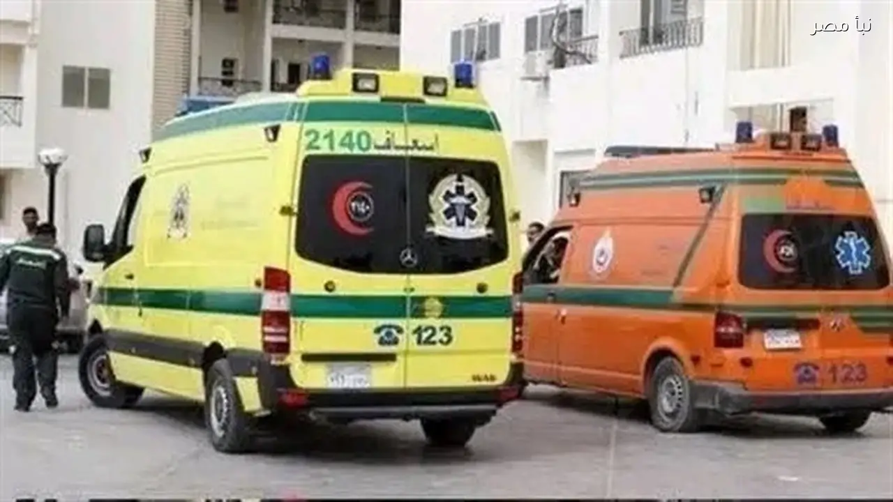 إصابة خمسة أشخاص بينهم رضيع في حادث تصادم بكوبري سندوب في المنصورة