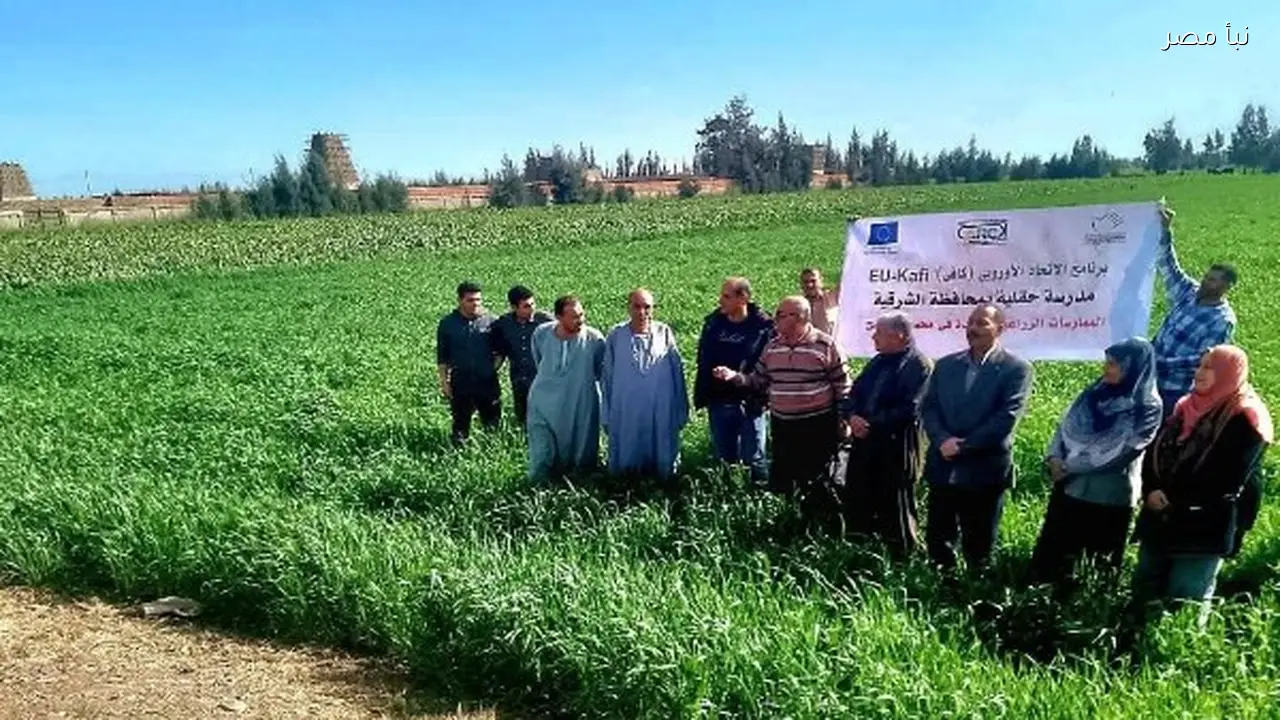 برامج تدريبية متخصصة في الشرقية لتعزيز التوسع في الزراعات الحديثة