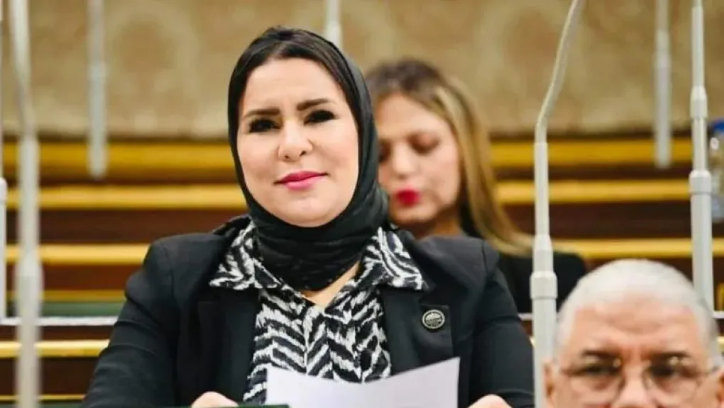 النائبة نفيين الكاتب عضو مجلس النواب 