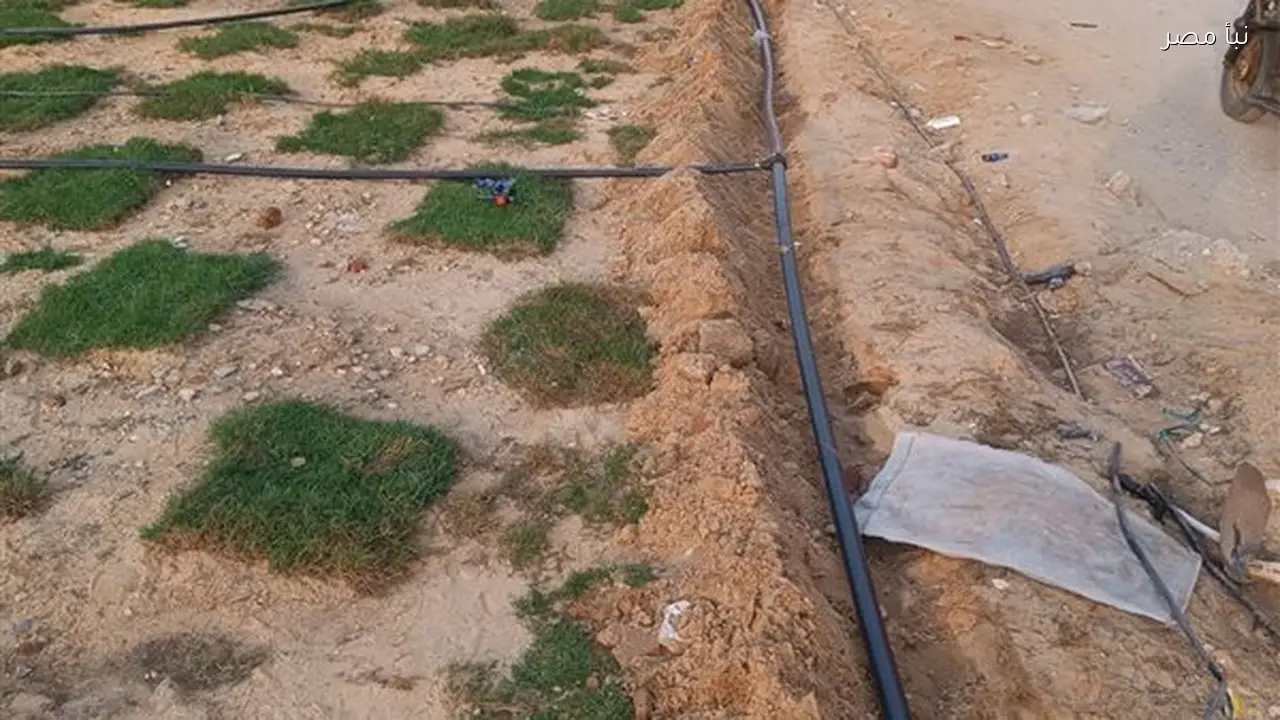 تحويل منطقة قمامة في القنطرة شرق إلى مساحة خضراء لخدمة سكان الإسماعيلية