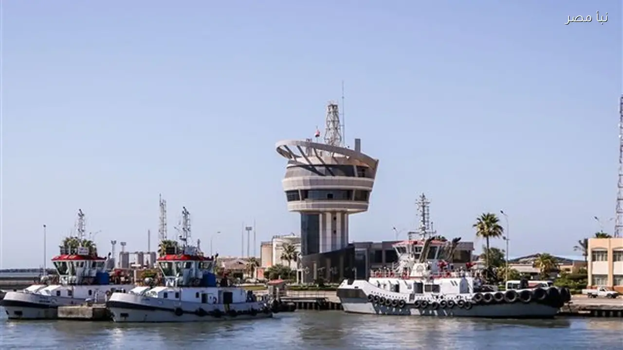 تداول أكثر من خمسة آلاف شاحنة في ميناء دمياط خلال يوم واحد