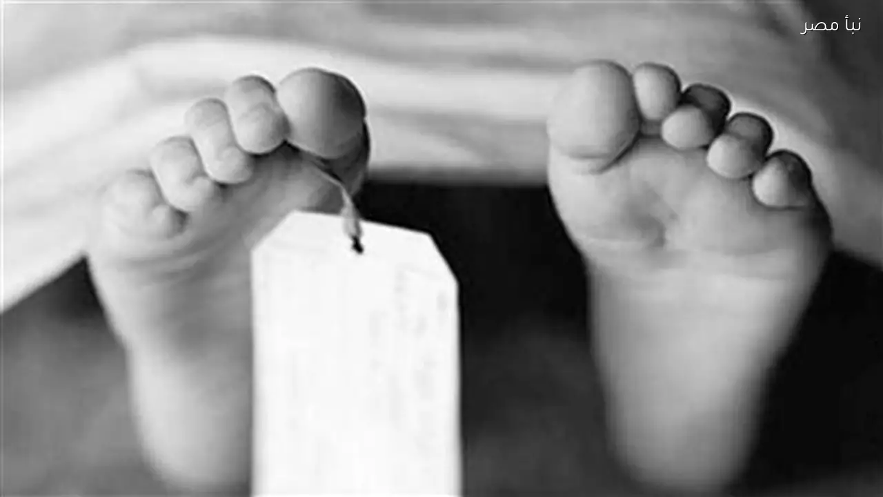 تصريح بدفن جثة طفلة توفيت دهسًا في حادث بالمنيا