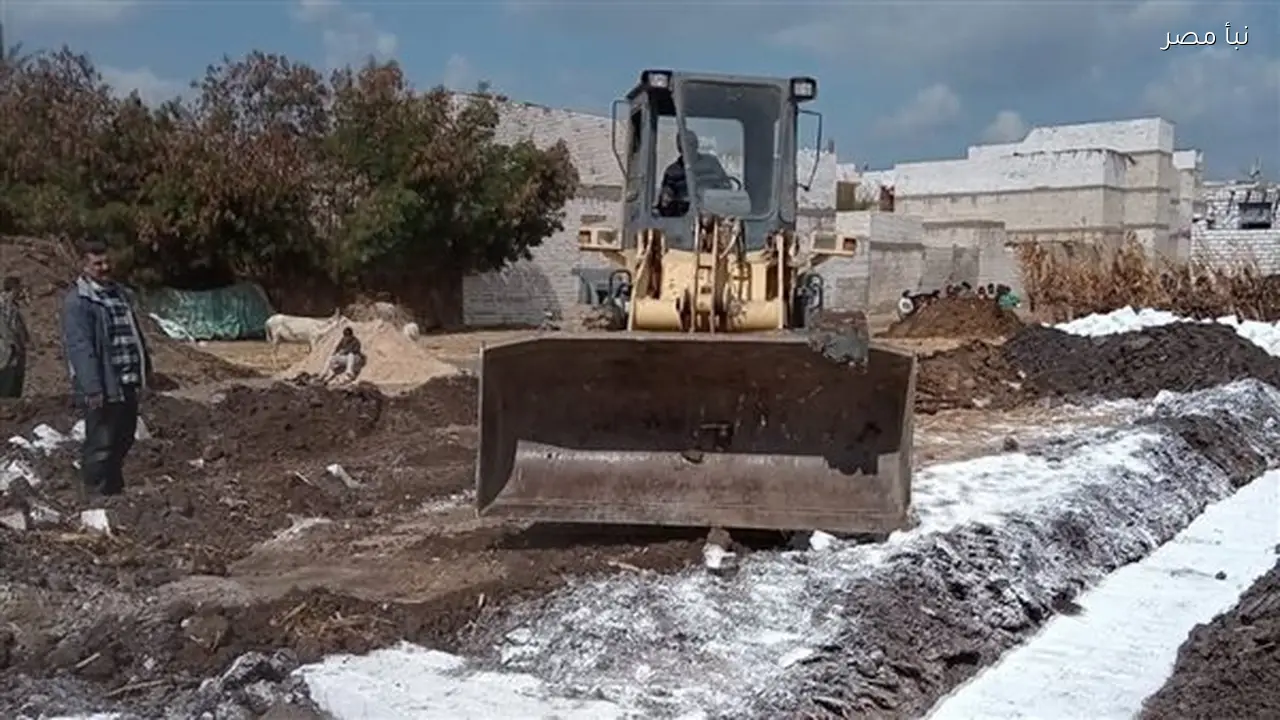 حملات إزالة تعديات زراعية بالمنيا تستعيد ثلاث قطع أراضٍ مملوكة للدولة