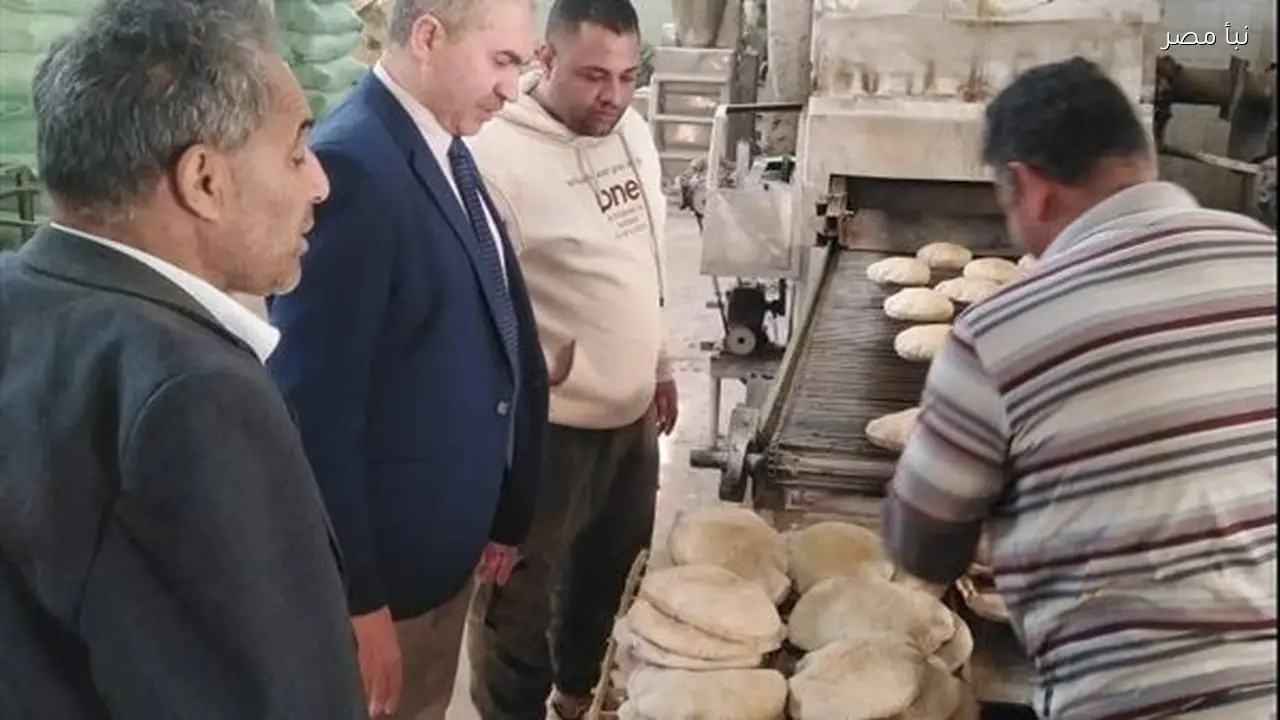 حملات رقابية تضبط 785 مخالفة تموينية وتؤكد حقوق المواطنين بالشرقية