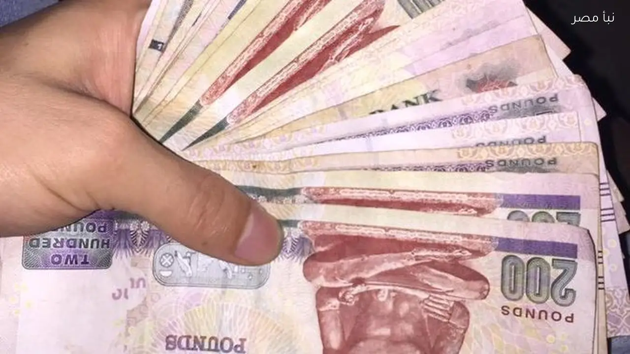 رابط الاستعلام عن منحة رمضان والعيد للعمالة غير المنتظمة بواقع 3000 جنيه لكل فرد بالبطاقة