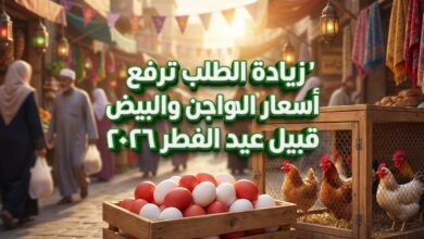 زيادة في أسعار الدواجن والبيض في الأسواق المحلية قبيل عيد الفطر