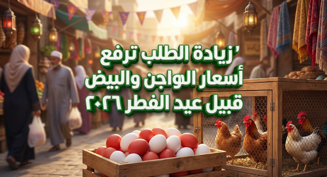 زيادة في أسعار الدواجن والبيض في الأسواق المحلية قبيل عيد الفطر