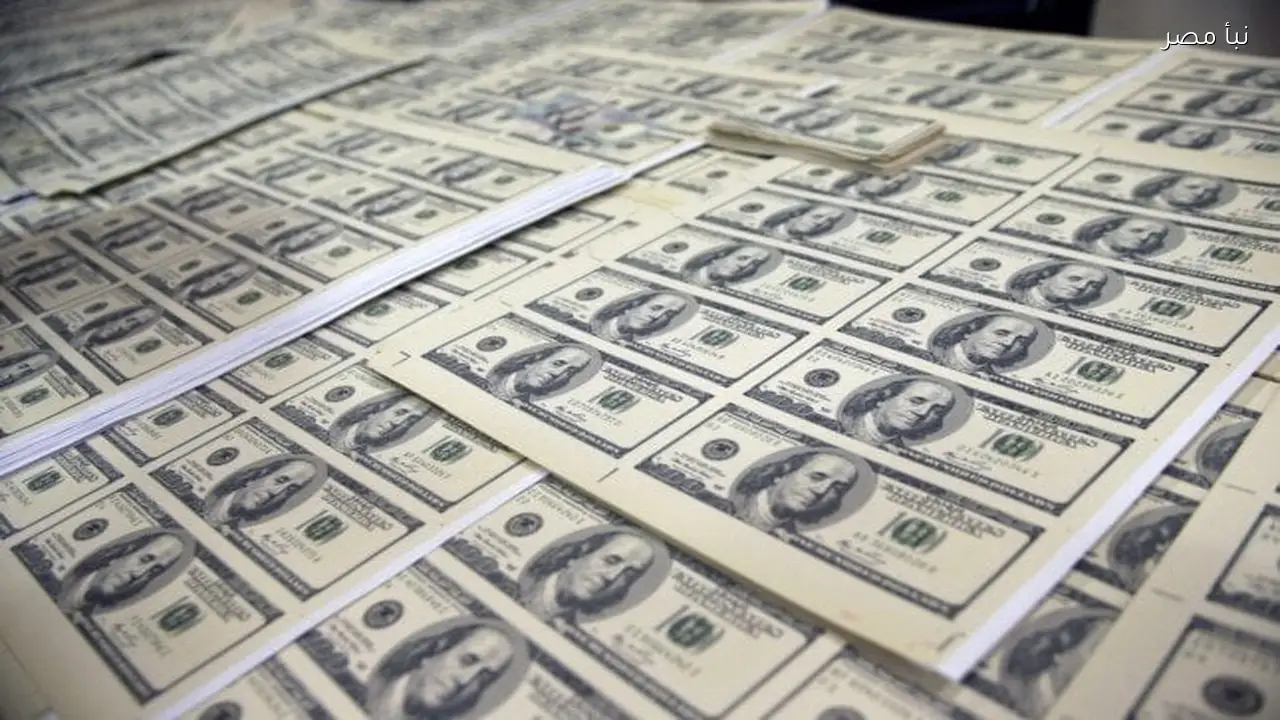 سعر الدولار اليوم الاثنين 2 مارس 2026 وبيانات التحديث الأخيرة