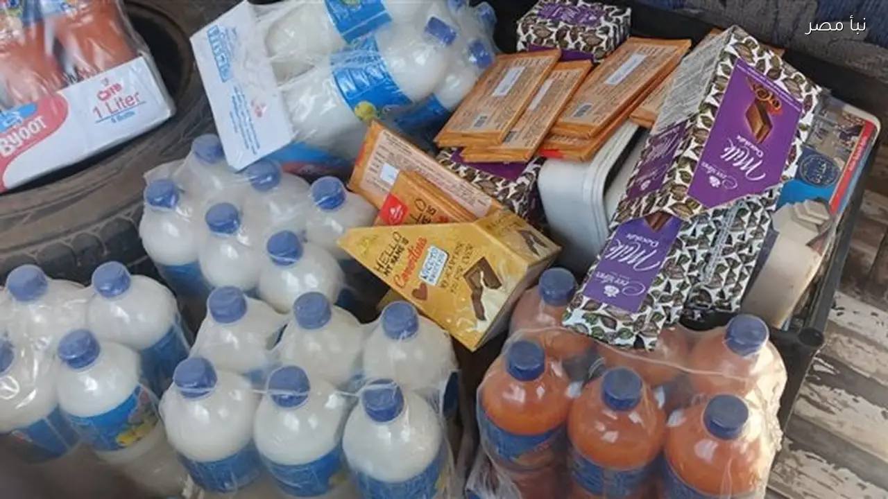 ضبط 17 مخالفة تموينية خلال حملة تفتيشية في مدينة إسنا جنوب الأقصر