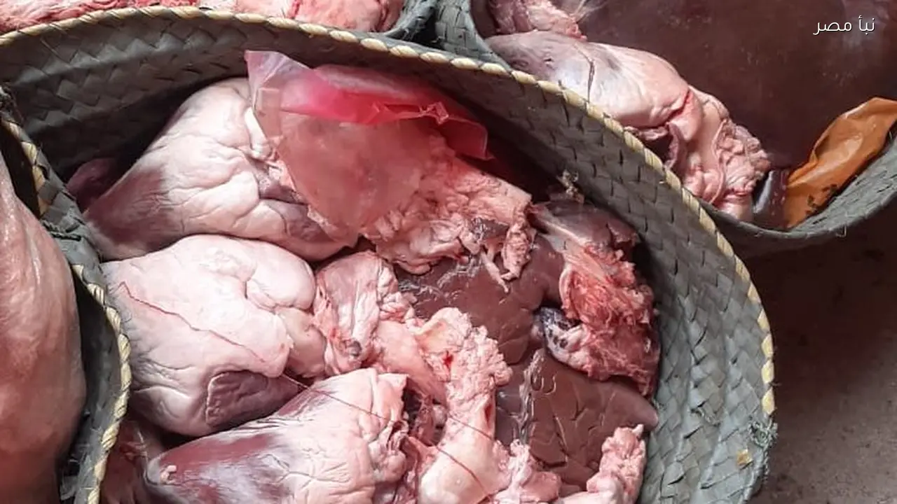 ضبط 305 كيلو من الأغذية غير الصالحة للاستهلاك الآدمي في محافظة الغربية