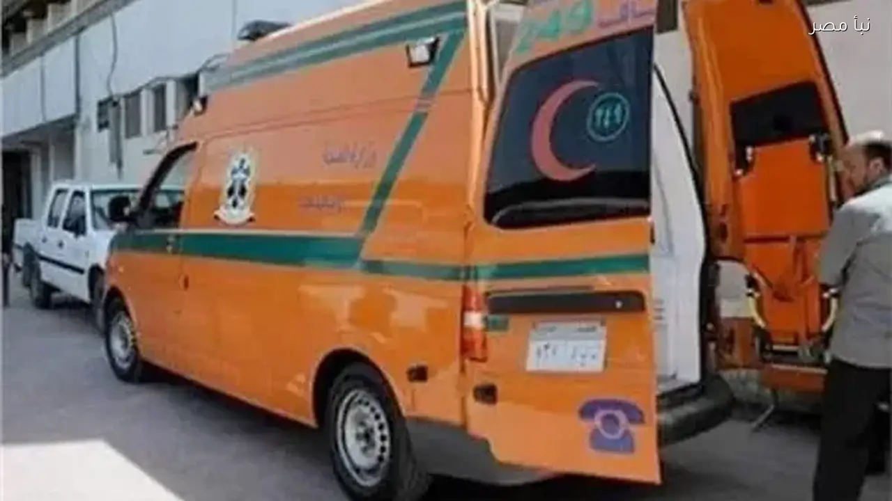 ضبط المتهم بقتل شقيقته نتيجة خلافات أسرية في محافظة المنيا